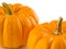 Mini Pumpkins Isolated 4