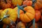 Mini Pumpkins with Stems