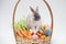 Mini rabbit with carrots and easter egg on basket