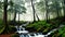 Mini River In The Green Forest Misty Morning Trees For Background