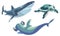 A mini set with a hammerhead shark and a regular shark and turtle. Cute animals in blue shades are swimming isolated on