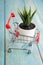 Mini Shopping Cart Supermarket scarlet Plant