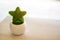Mini star shape green plastic artificial tree plant in ceramic white pot on the wooden table