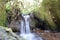 Mini waterfall over tree roots