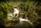 Mini Waterfall with wet moss rocks