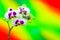 Mini white and purple spotted orchids on colorful gradient background