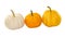 Mini yellow and white three pumpkin on white background