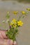 Miniature Alabama Wildflower Bouquet Offering