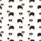 Miniature american shepherd seamless pattern