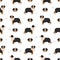 Miniature american shepherd seamless pattern