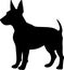 Miniature Bull Terrier Black Silhouette Generative Ai