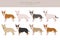 Miniature bull terrier clipart. Different poses, coat colors set