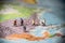 Miniature business people on top of US map. Business concept. Co