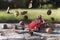 Miniature car staged with nuts and leaves