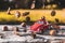 Miniature car staged with nuts and leaves twirling around it