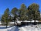 A miniature cemetery covered with fresh snow next to Arosa\\\'s mountain chapel (Das Bergkirchli Arosa)