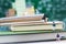 Miniature children : Group of children walking on books. Image use for taking a trip to school, education concept