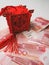 Miniature Chinese pavilion in bright red standing on Chinese 100 renminbi banknotes against a white background