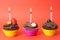 Miniature chocolate cupcakes with candles