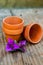 Miniature clay pots