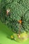 Miniature climber is lifting up another climber on a broccoli