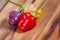 Miniature colorful peppers