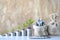 Miniature couple standing on Money bag and plant growing on coin