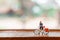 Miniature cyclist standing with bike, World bicycle day concept