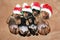 Miniature Dachshund Festive Spirit