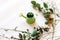 Miniature decorative garden watering can on a background with green plants.