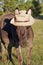 Miniature donkey with Straw Hat