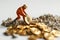 A miniature figure of a miner is digging through a pile of rocks to find a Bitcoin. isolated on white background