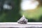 Miniature figure model of a lonely woman sitting on the rock with blur background