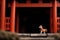 Miniature figurine of a cat and red torii gate.