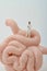 Miniature figurine of a gastroenterologist doctor with a giant intestine