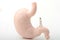 Miniature figurine of a gastroenterologist doctor with a giant stomach