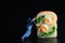 Miniature figurine of a man pushing a giant sandwich on a black background