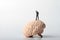 Miniature figurine of a teacher on a giant brain