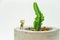 Miniature gardener on cactus flowerpot isolated