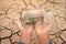 Miniature glass jar with young tree seedling growing in soil, on dry and crack empty land of background.