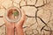 Miniature glass jar with young tree seedling growing in soil, on dry and crack empty land of background.