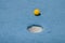 Miniature Golf Ball Approaching Hole Close-Up