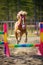 Miniature Horse Jumping Over Colorful Obstacle