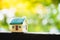 Miniature house on green nature background using as residence an