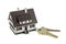 Miniature house on key ring