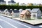 miniature houses placed on top of legal property division forms