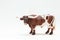 Miniature Longhorn Bull model realistic plastic toy bull