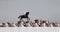 A miniature man riding horse on piles of coins.