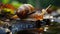 Miniature Marvel: Low-Angle Portrait of a Snail