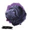 Miniature mini shar pei dog, profile portrait digital art illustration. Pet bred from recessive gene of shar-pei